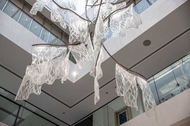 Dewfall in the Atrium